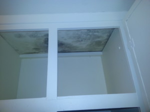 Mold Inspection Of Water Damage Due To Roof Leaks Hawk Environmental