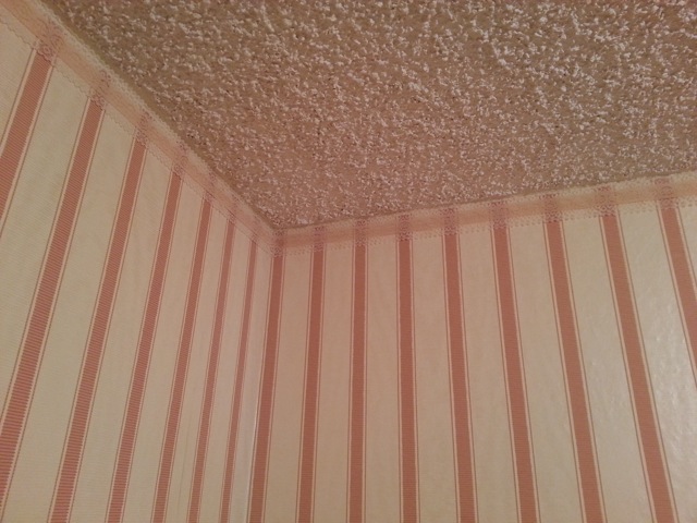 Popcorn Ceiling Textures Hawk