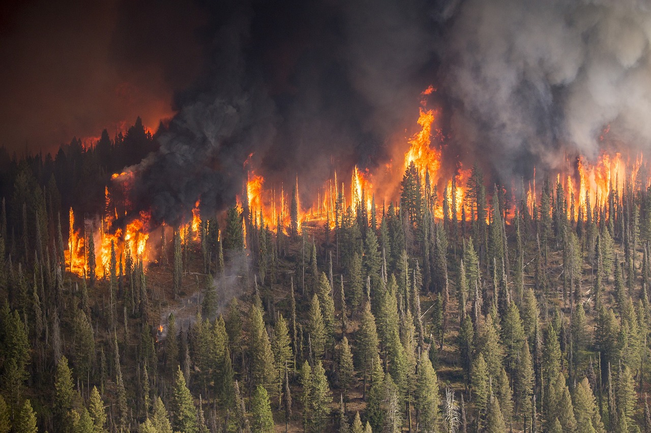 Wildfire smoke can infiltrate your home, even when windows are closed »  Yale Climate Connections